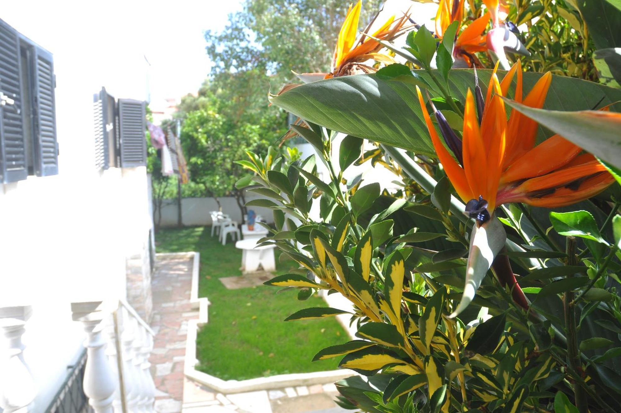 Bed and Breakfast Manelisa Cascaes Exterior foto