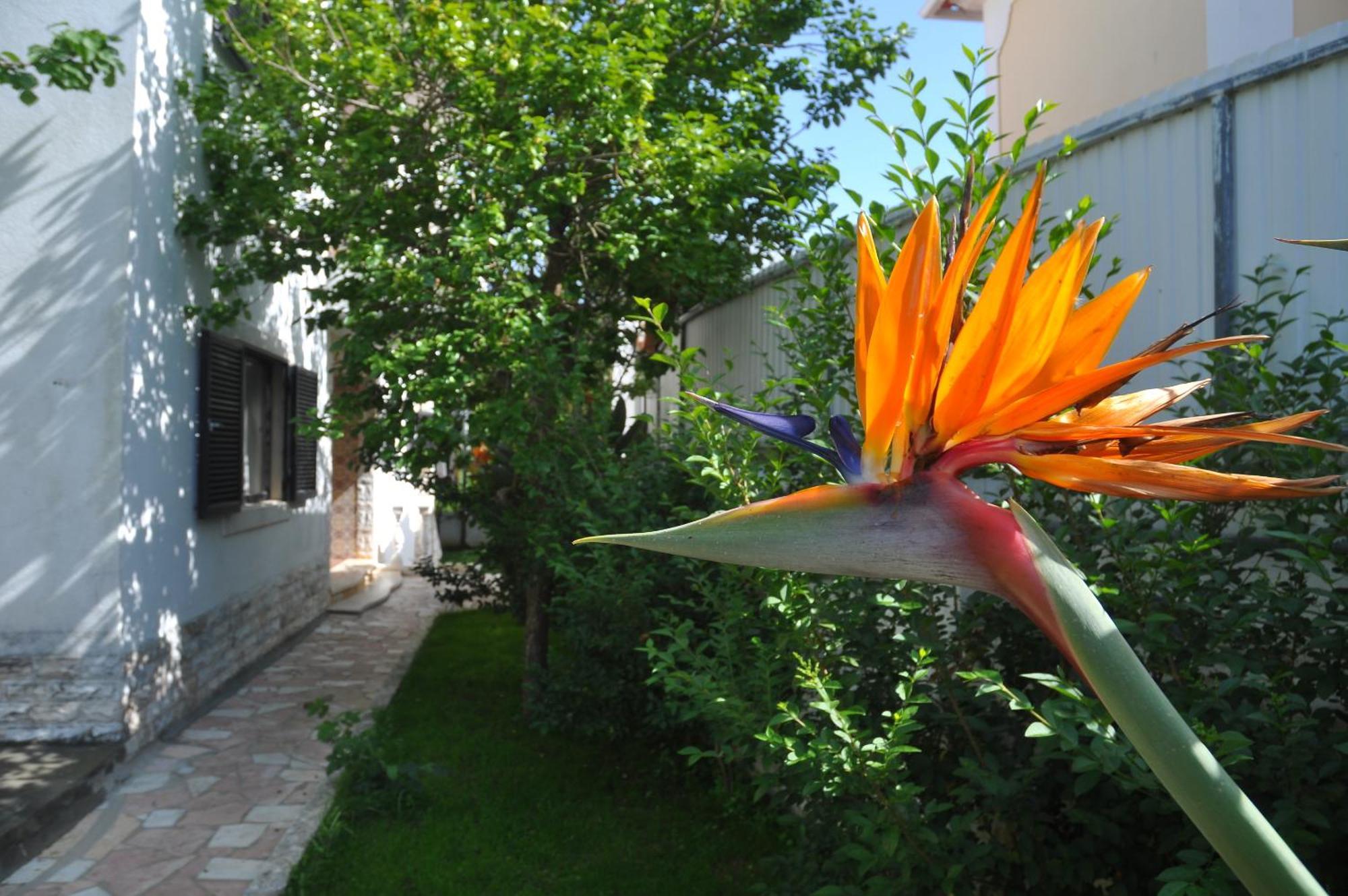 Bed and Breakfast Manelisa Cascaes Exterior foto